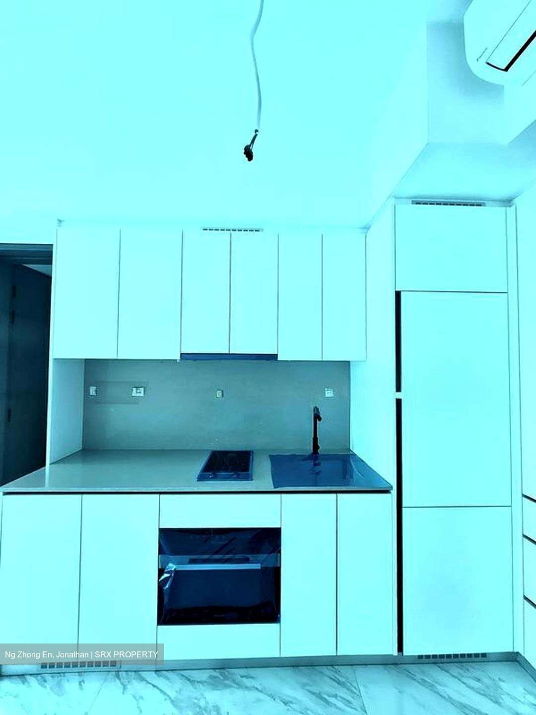 The Landmark (D3), Condominium #511099001